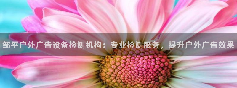 杏宇平台招商怎么样：邹平户外广告设备检测机构：专业检测服务，提升户外广告效果