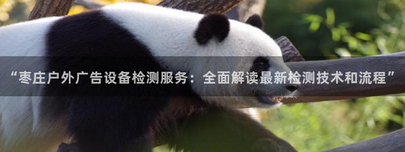 杏宇平台代理怎么赚钱的