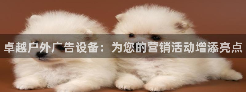 杏宇平台注册地址