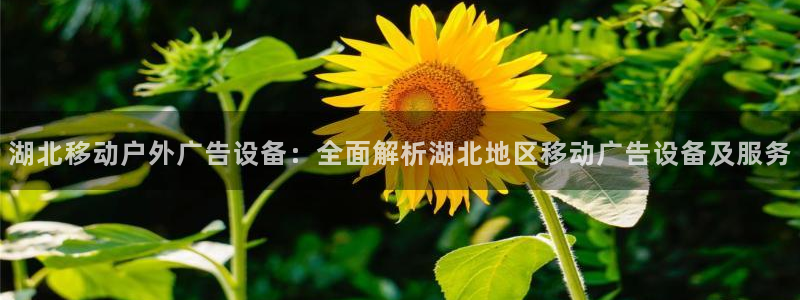 杏宇平台客服：湖北移动户外广告设备：全面解析湖北地区移动广告设备及服务