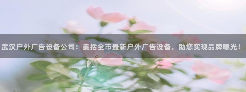 杏宇平台总代理：武汉户外广告设备公司：囊括全市最新户外广告设备，助您实现品牌曝光！