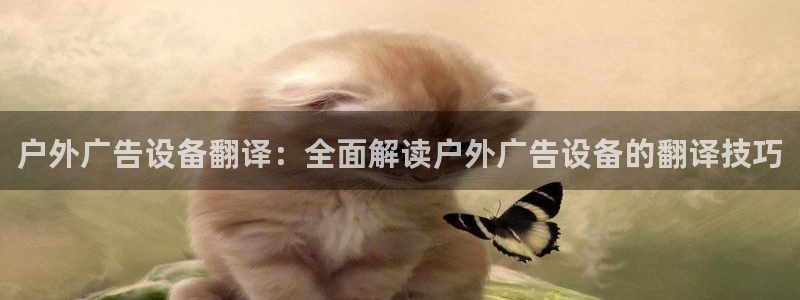 杏宇平台代理多少钱一个：户外广告设备翻译：全面解读户外广告设备的翻译技巧