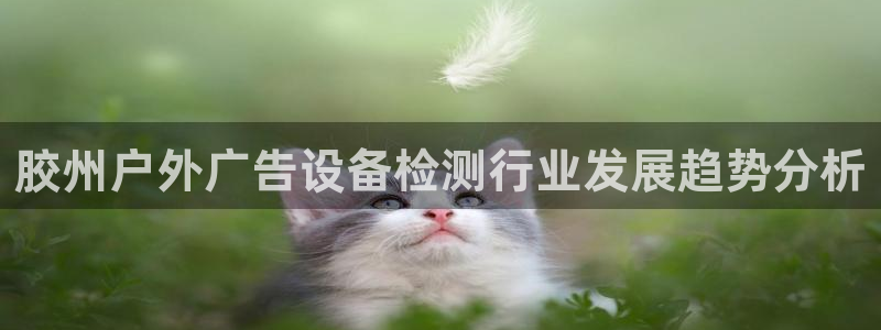 杏宇平台代理怎么样：胶州户外广告设备检测行业发展趋势分析