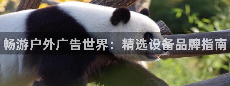 杏宇平台怎么样赚钱：畅游户外广告世界：精选设备品牌指南