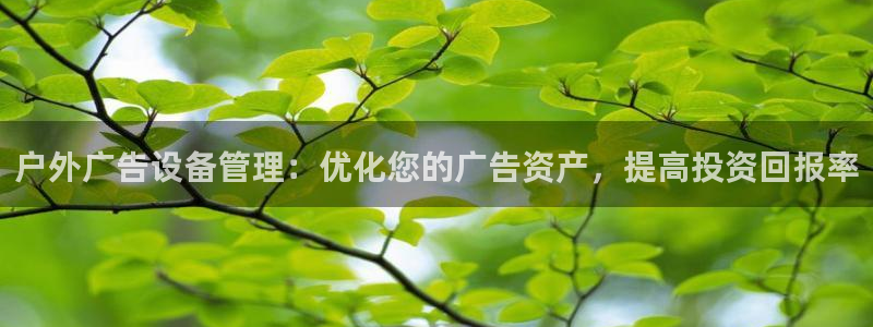 杏宇平台代理怎么赚钱的：户外广告设备管理：优化您的广告资产，提高投资回报率