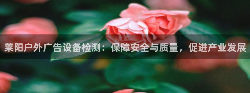 杏宇代理注册：莱阳户外广告设备检测：保障安全与质量，促进产业发展