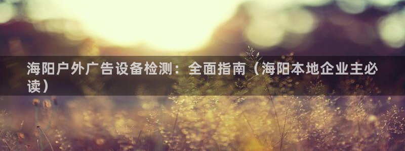 杏宇官方平台官网入口：海阳户外广告设备检测：全面指南（海阳本地企业主必
读）
