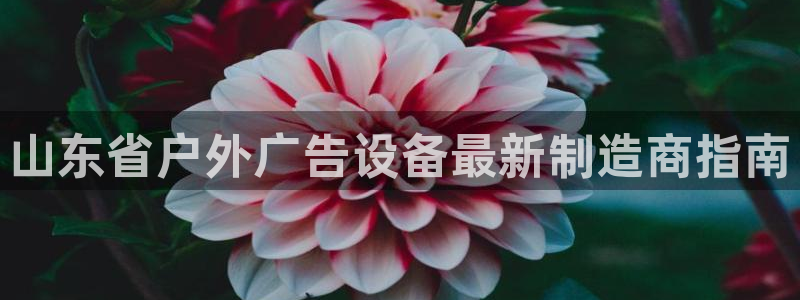 杏宇平台主管：山东省户外广告设备最新制造商指南