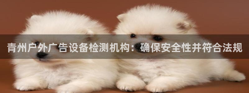 杏宇平台好吗：青州户外广告设备检测机构：确保安全性并符合法规
