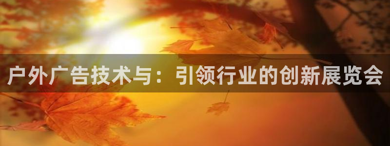杏宇平台好吗：户外广告技术与：引领行业的创新展览会