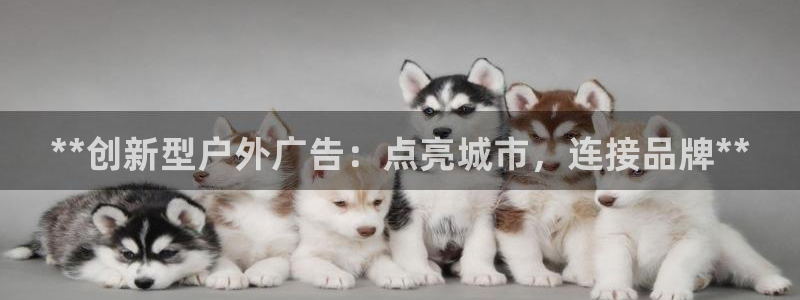 杏宇平台开户：**创新型户外广告：点亮城市，连接品牌**