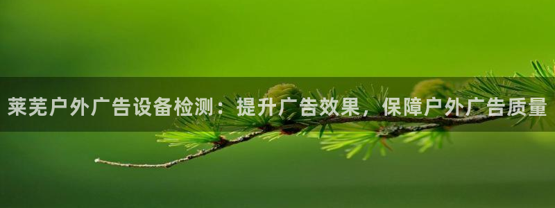杏宇平台总代理电话：莱芜户外广告设备检测：提升广告效果，保障户外广告质量