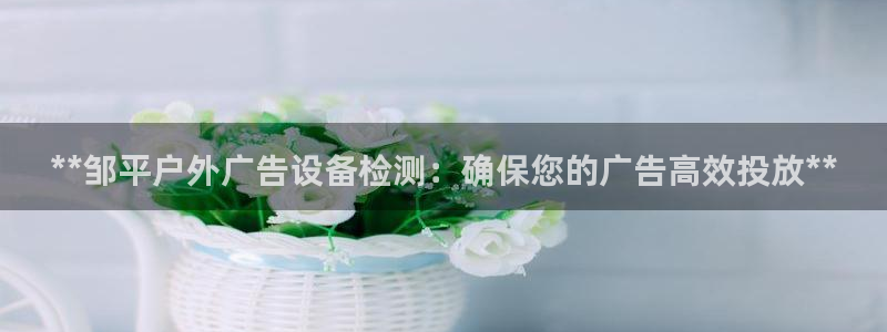 杏宇平台代理怎么样可靠吗：**邹平户外广告设备检测：确保您的广告高效投放**