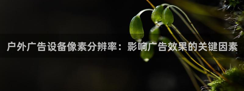 杏宇代理注册：户外广告设备像素分辨率：影响广告效果的关键因素