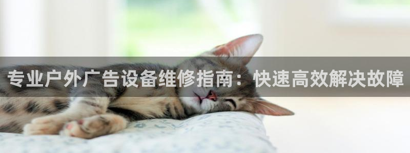 杏宇平台招商：专业户外广告设备维修指南：快速高效解决故障