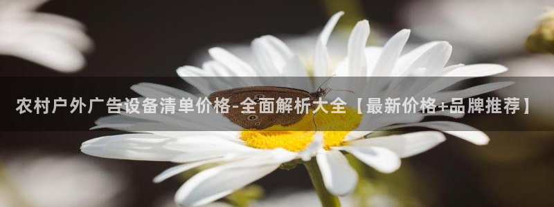 杏宇平台代理多少钱一个：农村户外广告设备