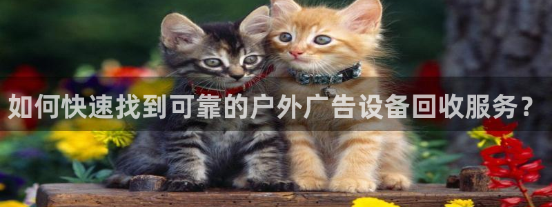 杏宇平台代理多少钱一个月：如何快速找到可
