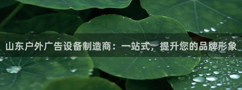 杏宇平台怎么样知乎：山东户外广告设备制造