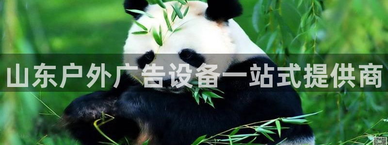杏宇平台注册地址在哪里：山东户外广告设备
