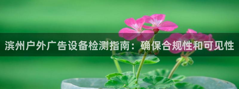 杏宇平台代理多少钱一个月：滨州户外广告设备检测指南：确保合规性和可见性
