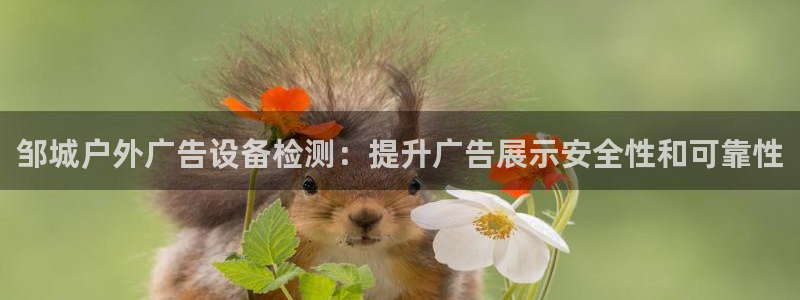 杏宇平台是什么：邹城户外广告设备检测：提