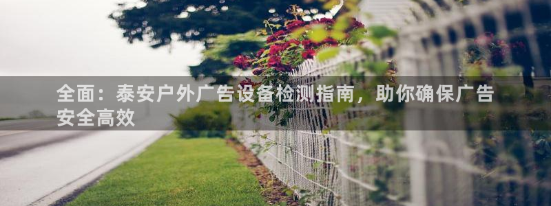 杏宇官方平台官网：全面：泰安户外广告设备检测指南，助你确保广告
安全高效