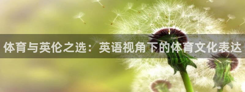betway西汉姆：体育与英伦之选：英语视角下的体育文化表达
