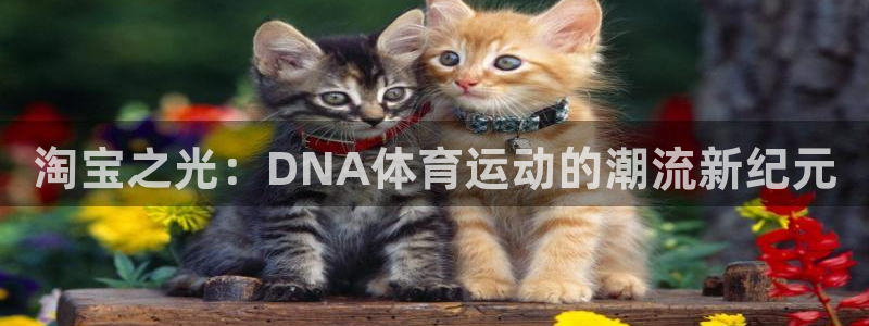 betway西汉姆联：淘宝之光：DNA体育运动的潮流新纪元