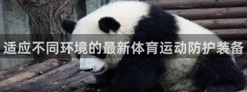 必威betway西汉姆联：适应不同环境的最新体育运动防护装备