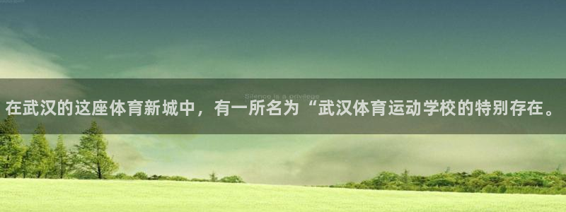 betway西汉姆联：在武汉的这座体育新城中，有一所名为“武汉体育运动学校的特别存在。