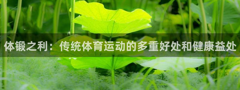 必威betway西汉姆联：体锻之利：传统体育运动的多重好处和健康益处