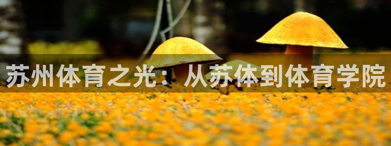 betway西汉姆联：苏州体育之光：从苏体到体育学院