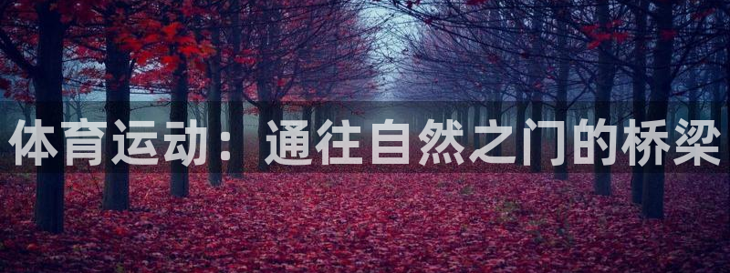 betway西汉姆：体育运动：通往自然之门的桥梁