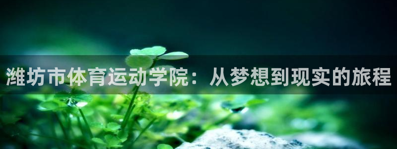 betway西汉姆联官网：潍坊市体育运动学院：从梦想到现实的旅程