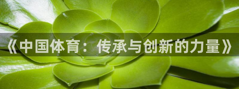 betway西汉姆联：《中国体育：传承与创新的力量》