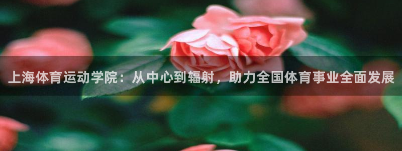 betway西汉姆官网：上海体育运动学院：从中心到辐射，助力全国体育事业全面发展