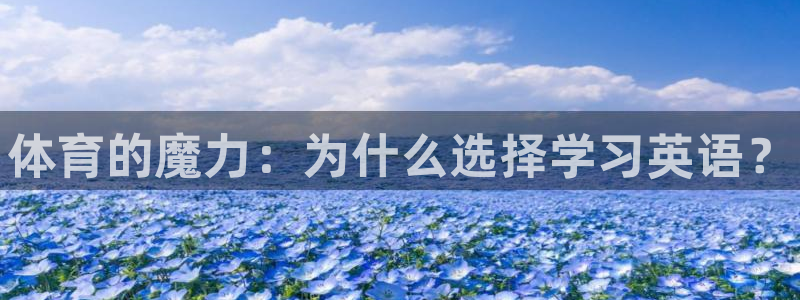 betway西汉姆：体育的魔力：为什么选择学习英语？