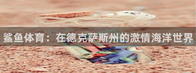 betway西汉姆：鲨鱼体育：在德克萨斯州的激情海洋世界