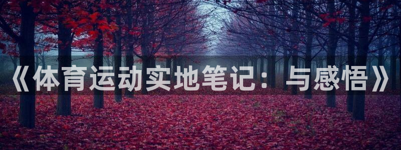betway西汉姆：《体育运动实地笔记：与感悟》