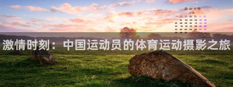 betway西汉姆联：激情时刻：中国运动员的体育运动摄影之旅