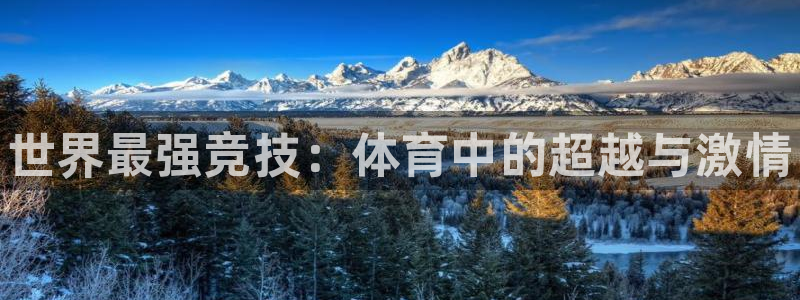 betway西汉姆联：世界最强竞技：体育中的超越与激情