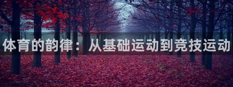 必威betway西汉姆联：体育的韵律：从基础运动到竞技运动