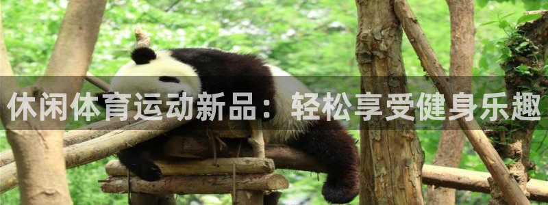 betway西汉姆官网：休闲体育运动新品：轻松享受健身乐趣