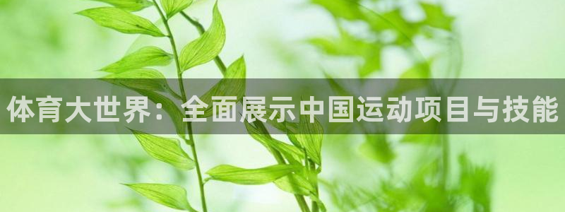 betway西汉姆联官网