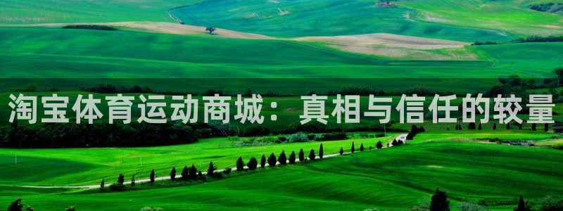 betway西汉姆联：淘宝体育运动商城：真相与信任的较量