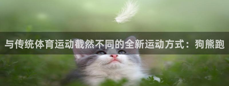 betway西汉姆联：与传统体育运动截然不同的全新运动方式：狗熊跑