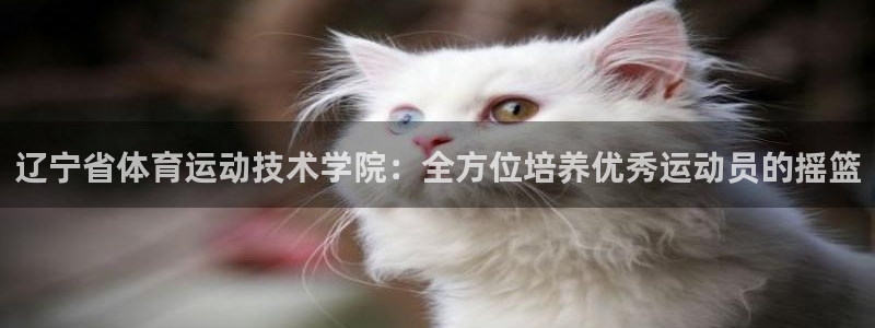 betway西汉姆