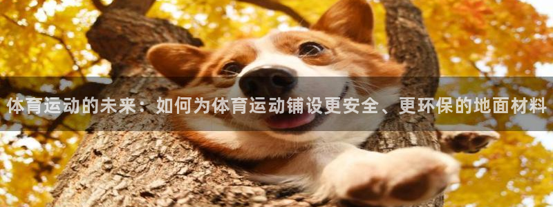 必威betway西汉姆联：体育运动的未来：如何为体育运动铺设更安全、更环保的地面材料