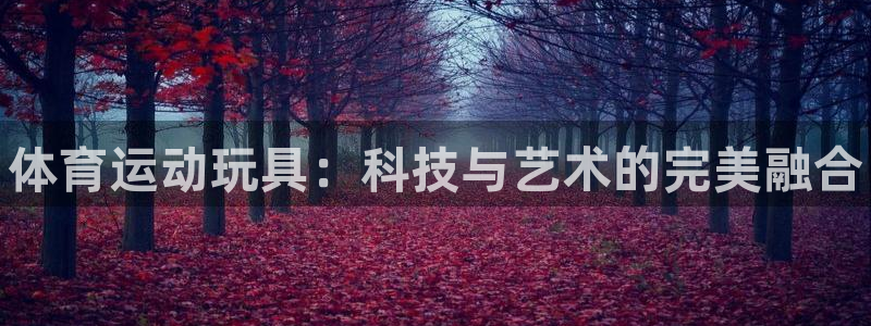 betway西汉姆联官网：体育运动玩具：科技与艺术的完美融合