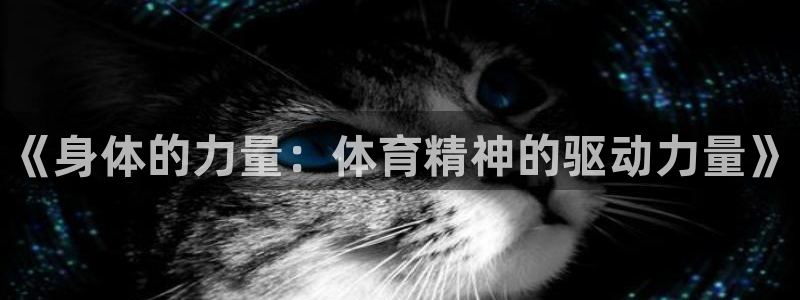 betway西汉姆官网：《身体的力量：体育精神的驱动力量》